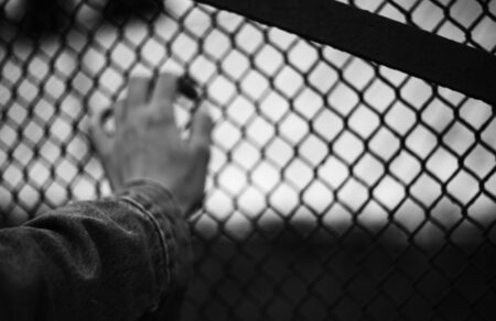 tvxs-archiki-829050
