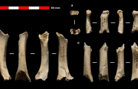 ispania-apolithomata-cherion-neantertal-diatirisan-dna-ilikias-46-000-eton-829772