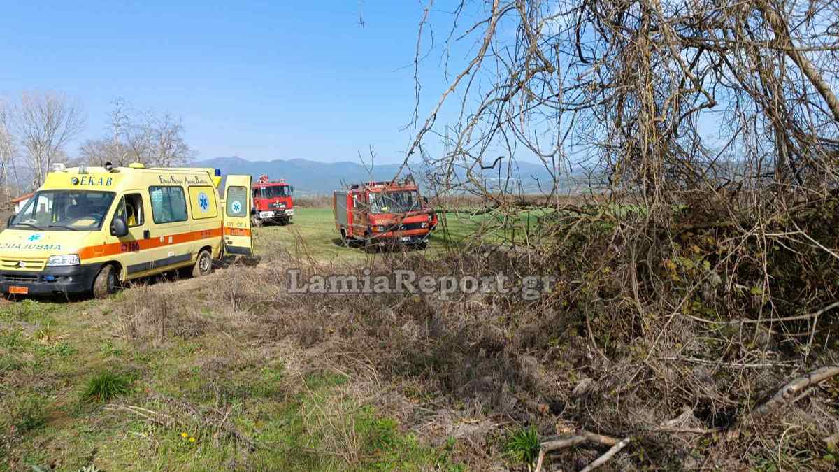 Φθιώτιδα / Νεκρός δασεργάτης – Καταπλακώθηκε από πλατάνι κατά την κοπή