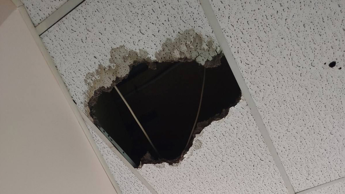 &Theta;&rho;&iota;ά&sigma;&iota;&omicron; / &Pi;&tau;ώ&sigma;&eta; &tau;&mu;ή&mu;&alpha;&tau;&omicron;&sigmaf; &omicron;&rho;&omicron;&phi;ή&sigmaf; &sigma;&epsilon; &theta;ά&lambda;&alpha;&mu;&omicron; &alpha;&sigma;&theta;&epsilon;&nu;ώ&nu; &tau;&eta;&sigmaf; &psi;&upsilon;&chi;&iota;&alpha;&tau;&rho;&iota;&kappa;ή&sigmaf; &kappa;&lambda;&iota;&nu;&iota;&kappa;ή&sigmaf;