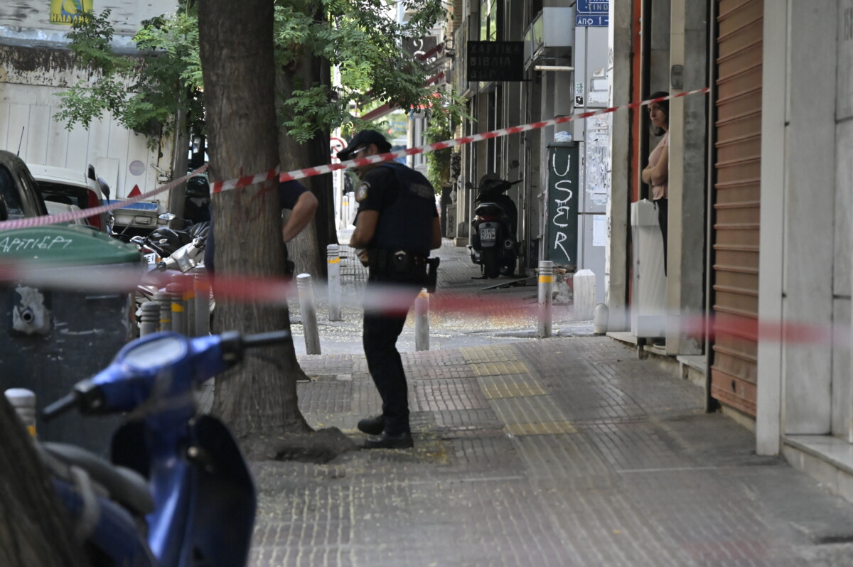 &Sigma;&tau;&alpha;ύ&rho;&omicron;&sigmaf; &Gamma;&epsilon;&omega;&rho;&gamma;ί&omicron;&upsilon; / &Alpha;&pi;ό ά&gamma;&rho;&iota;&omicron; &xi;&upsilon;&lambda;&omicron;&delta;&alpha;&rho;&mu;ό &omicron; &theta;ά&nu;&alpha;&tau;&omicron;&sigmaf; &tau;&omicron;&upsilon; &gamma;&nu;&omega;&sigma;&tau;&omicron;ύ &pi;&omicron;&iota;&nu;&iota;&kappa;&omicron;&lambda;ό&gamma;&omicron;&upsilon;
