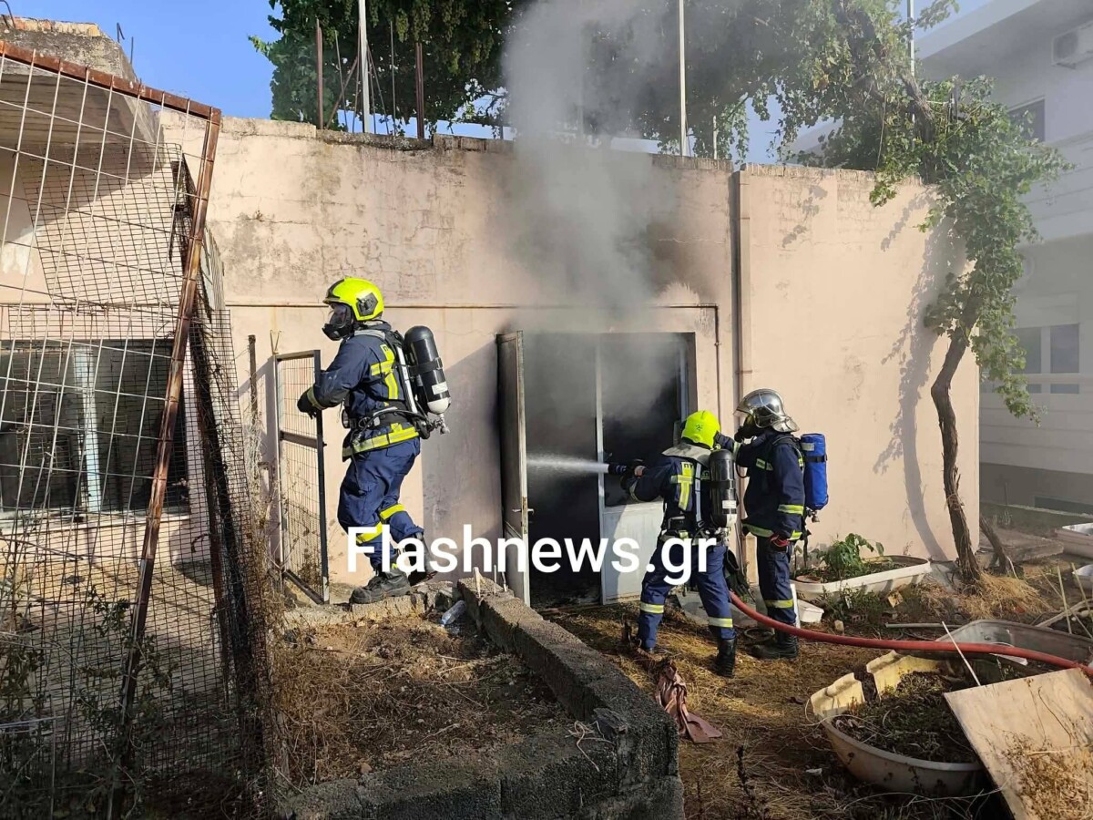 &Chi;&alpha;&nu;&iota;ά / &Phi;&omega;&tau;&iota;ά &sigma;&epsilon; &sigma;&upsilon;&nu;&epsilon;&rho;&gamma;&epsilon;ί&omicron; &epsilon;&pi;&iota;&sigma;&kappa;&epsilon;&upsilon;ή&sigmaf; &sigma;&kappa;&alpha;&phi;ώ&nu;