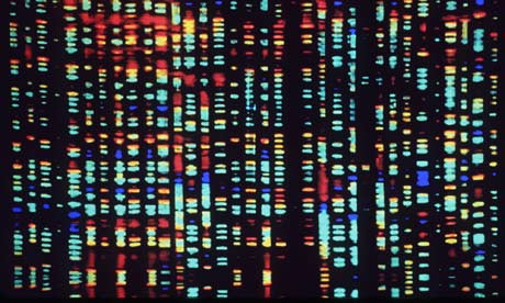 Η επιστήμη στη δεκαετία της χαρτογράφησης του ανθρώπινου γονιδιώματος