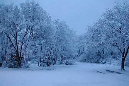 Αποκλεισμός χωριών στην Καρδίτσα λόγω χιονόπτωσης