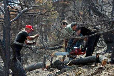 Μπλόκα στήνουν από αύριο και οι δασεργάτες