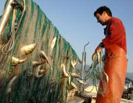Νόμιμη η απεργία των αλιεργατών της Νέας Μηχανιώνας