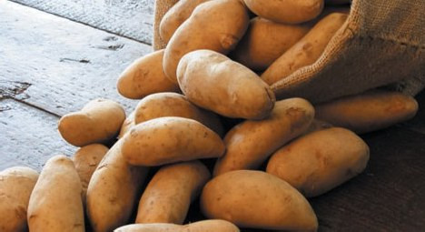 Πράσινο φως στις γενετικά τροποποιημένες πατάτες δίνει η ΕΕ