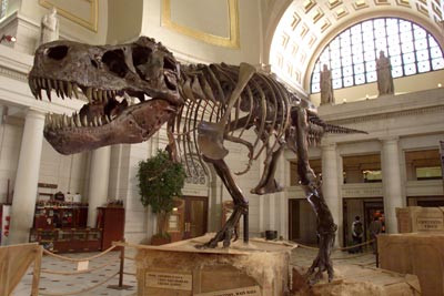 Τι προκάλεσε την εξαφάνιση των δεινοσαύρων;