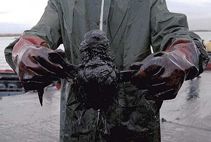 Αρνούνται τις ευθύνες στην BP για την πετρελαιοκηλίδα στο Κόλπο του Μεξικό;