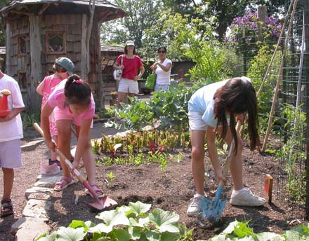 H κηπουρική μπαίνει στη ζωή των μαθητών