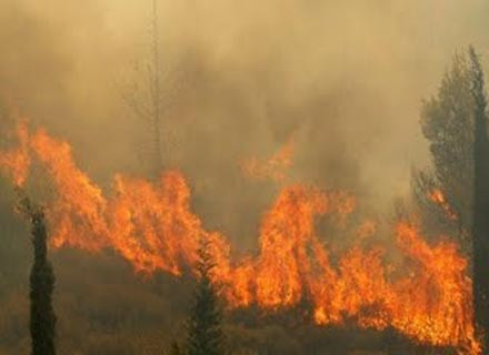 Καμία ευθύνη για τις πυρκαγιές σε Βαρνάβα και Μακροχώρι δηλώνει η ΔΕΗ
