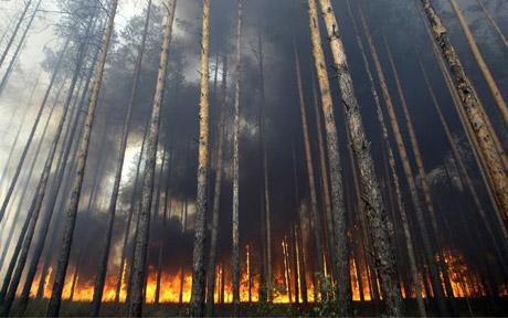 Υπό έλεγχο οι πυρκαγιές στη Ρωσία, στους 34 οι νεκροί