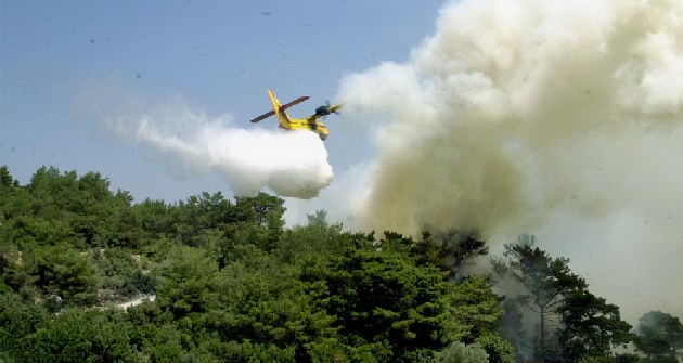 Υπό μερικό έλεγχο η πυρκαγιά στο Μορφάτι Θεσπρωτίας