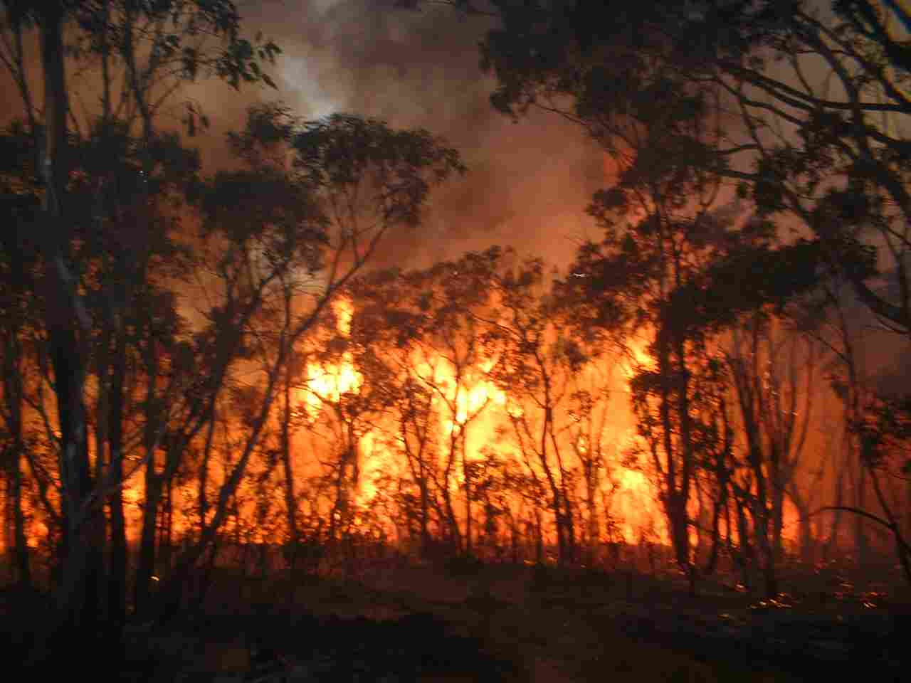 Υπό έλεγχο πυρκαγιά σε δασική έκταση στις Πρέσπες Φλώρινας