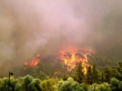 Πυρκαγιά στην Ηλεία