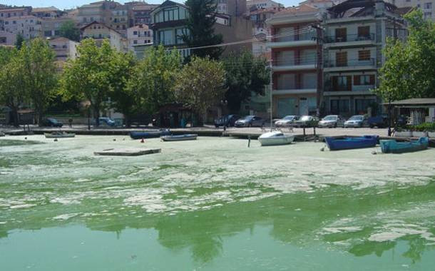 Εισαγγελική έρευνα για την κατάσταση στη λίμνη της Καστοριάς