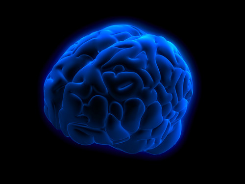 Εντοπίστηκε το νευρωνικό «ίχνος» της μπλόφας στον εγκέφαλο