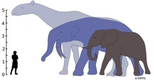 Η εξαφάνιση των δεινοσαύρων άνοιξε το δρόμο στην ευημερία των  θηλαστικών