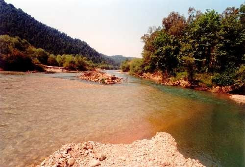 Υψηλή συγκέντρωση τοξικών αποβλήτων στον Αλφειό ποταμό