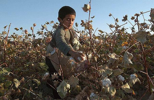 Ουζμπεκιστάν: Όταν οι δυτικές εταιρείες επωφελούνται από την παιδική εργασία