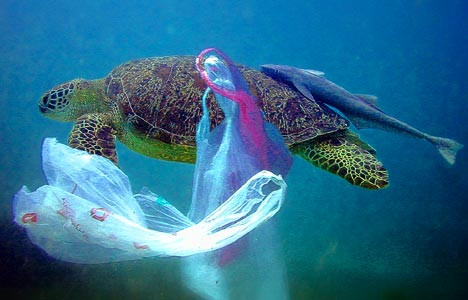 Όλη η Μεσόγειος πνιγμένη στο πλαστικό