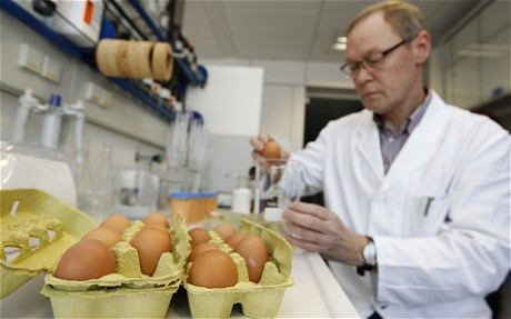 Σκάνδαλο διοξίνης: Κλείνουν 4.700 φάρμες στη Γερμανία, έρευνες του ΕΦΕΤ στην Ελλάδα