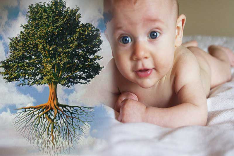 Λωζάνη: «Ένα δέντρο για κάθε παιδί που γεννιέται»