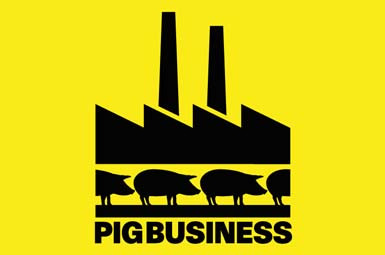«Pig Business»: Το αληθινό κόστος του φθηνού κρέατος