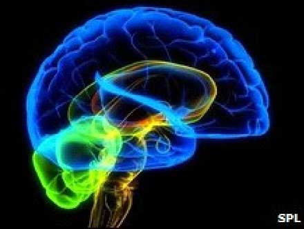 Νέα δίοδος για την παροχή φαρμάκων στον εγκέφαλο