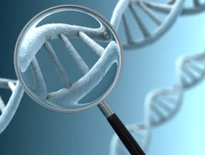 Αναξιόπιστα τα εξατομικευμένα γενετικά τεστ, λέει νέα μελέτη