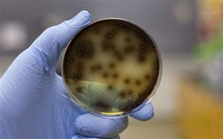 Αρωγή 150 εκατ. ευρώ για το E.coli προτείνει η Κομισιόν