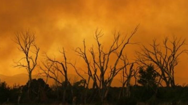 Εκκενώνονται οικισμοί λόγω της γιγαντιαίας πυρκαγιάς στην Αριζόνα
