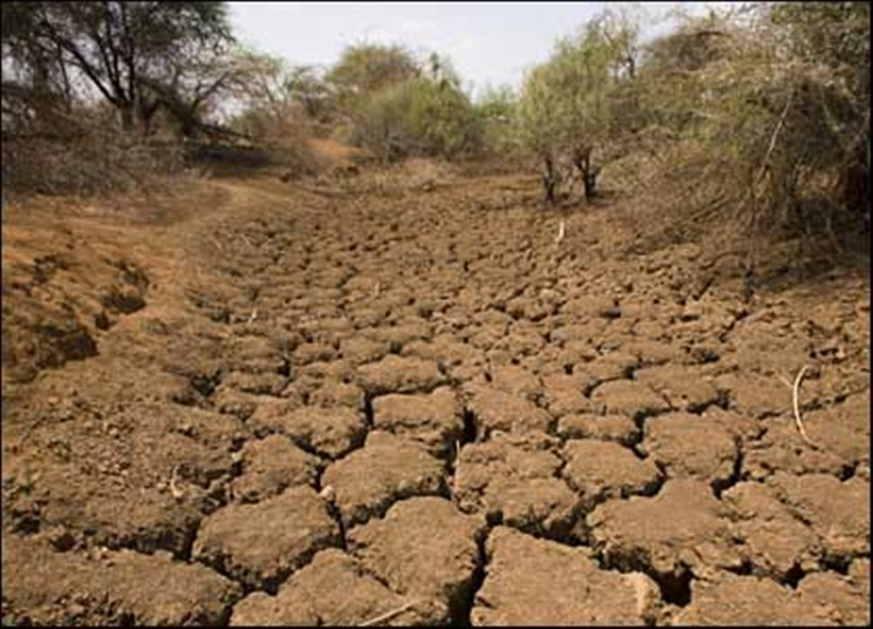 Την χειρότερη ξηρασία εδώ και εξήντα χρόνια αντιμετωπίζει το κέρας της Αφρικής