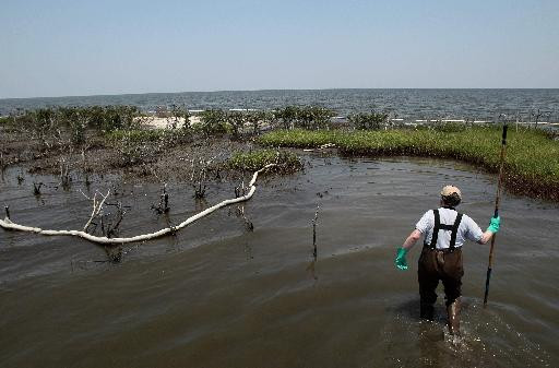 Να σταματήσει την καταβολή αποζημιώσεων για την πετρελαιοκηλίδα θέλει η BP