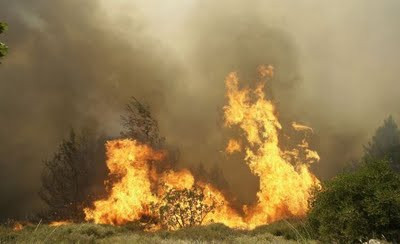 Αναζωπυρώθηκε η φωτιά στα Ιωάννινα – Μεγάλη πυρκαγιά και στην Κοζάνη