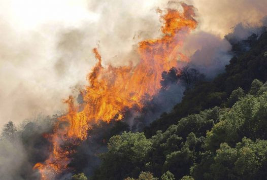 Κέρκυρα: Κίνδυνος κατοικημένων περιοχών από τη φωτιά