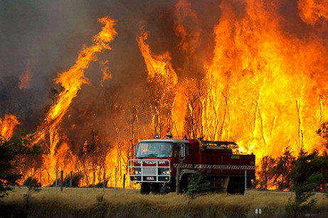 Πυρκαγιά στο Παρόριο Βοιωτίας, ενώ αναζωπυρώνεται η φωτιά στη Μυτιλήνη