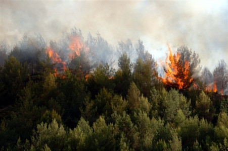 Πυρκαγιά στην Κασταμονίτσα του Δήμου Μινώα Πεδιάδος