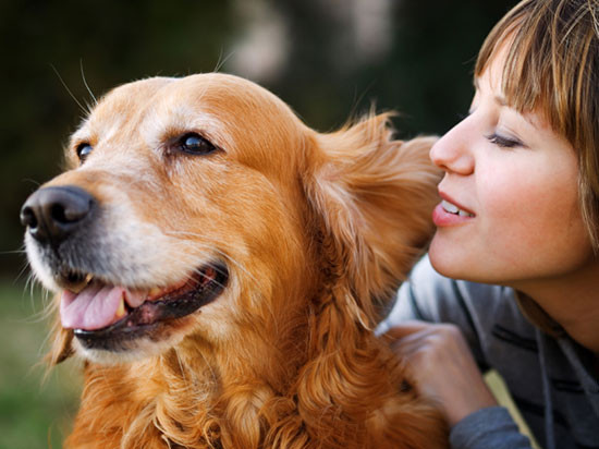 Οι σκύλοι οσφρίζονται τον καρκίνο των πνευμόνων