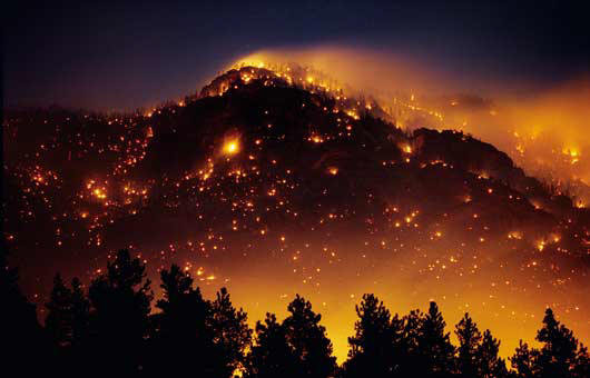 Πυρκαγιά απειλεί οικισμούς και το δάσος της Δαδιάς στον Έβρο