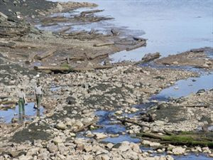 ΗΠΑ: Ιστορικό νησί απειλείται με διάβρωση