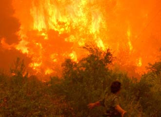 Υπό μερικό έλεγχο η φωτιά στο Αρδάνι, κατασβέστηκε η πυρκαγιά στη Σιάτιστα