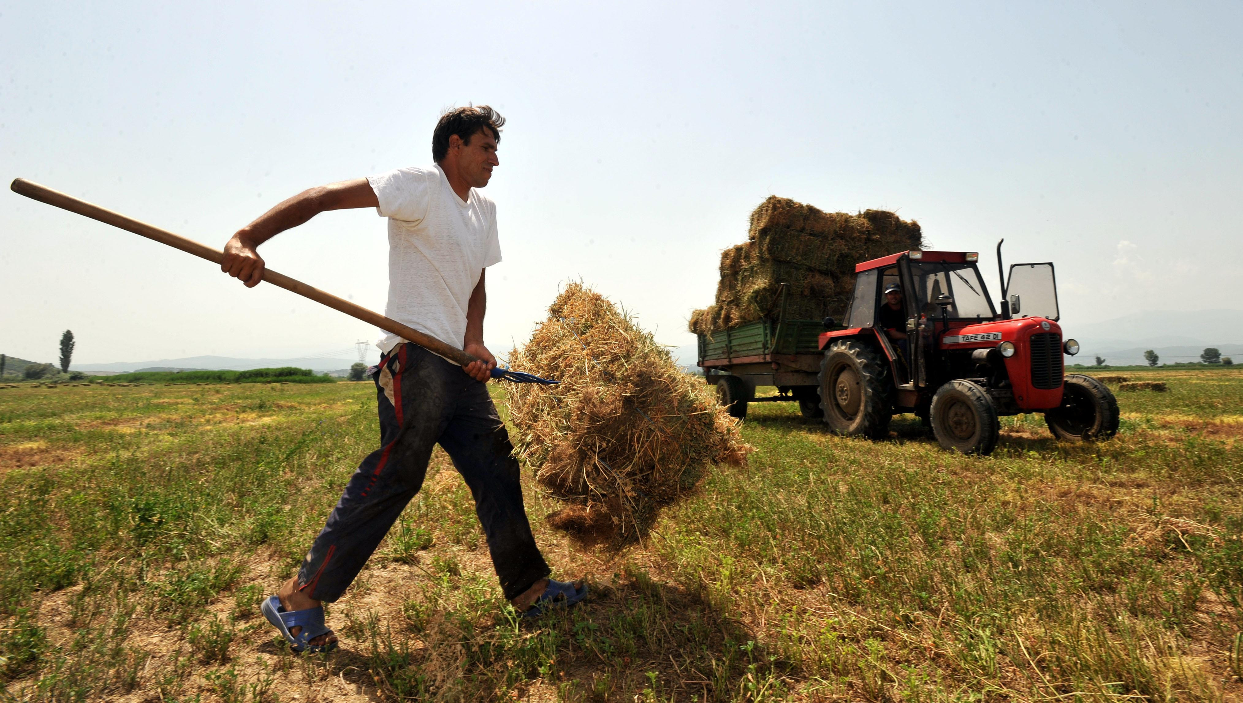 Επιστροφή στη φύση: Η κρίση αυξάνει τους αγρότες