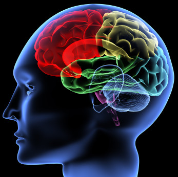 Τις εικόνες του ανθρώπινου εγκεφάλου κατάφεραν να «διαβάσουν» οι επιστήμονες