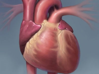 Υψηλά τα ποσοστά θνησιμότητας που οφείλονται σε καρδιαγγειακές παθήσεις