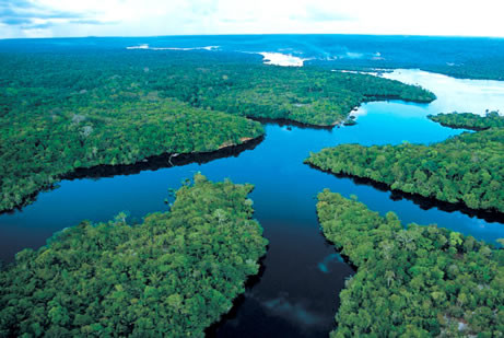 Βραζιλία: Ακτιβιστές εναντίον Γερουσίας για τα δάση του Αμαζονίου