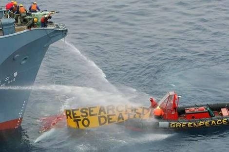Ιαπωνία: Πόροι για τους σεισμόπληκτους χρηματοδότησαν τη φαλαινοθηρία