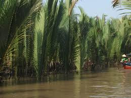 Πάνω από 200 είδη φυτών και ζώων ακαλύφθηκαν στον ποταμό Μεκόνγκ