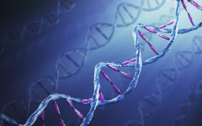 «Νανορομπότ DNA» καταστρέφει τα καρκινικά κύτταρα