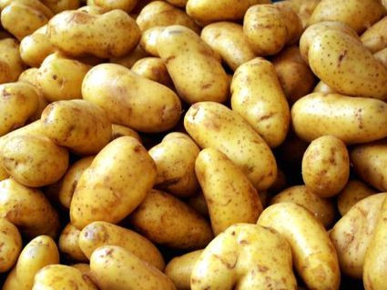 Παραγγελίες άνω των 55 τόνων πατάτας δέχτηκε από καταναλωτές το ΑΠΘ
